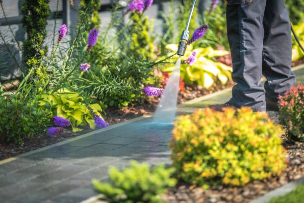 Best Patio and Deck Pressure Washing  in Ashland, NJ